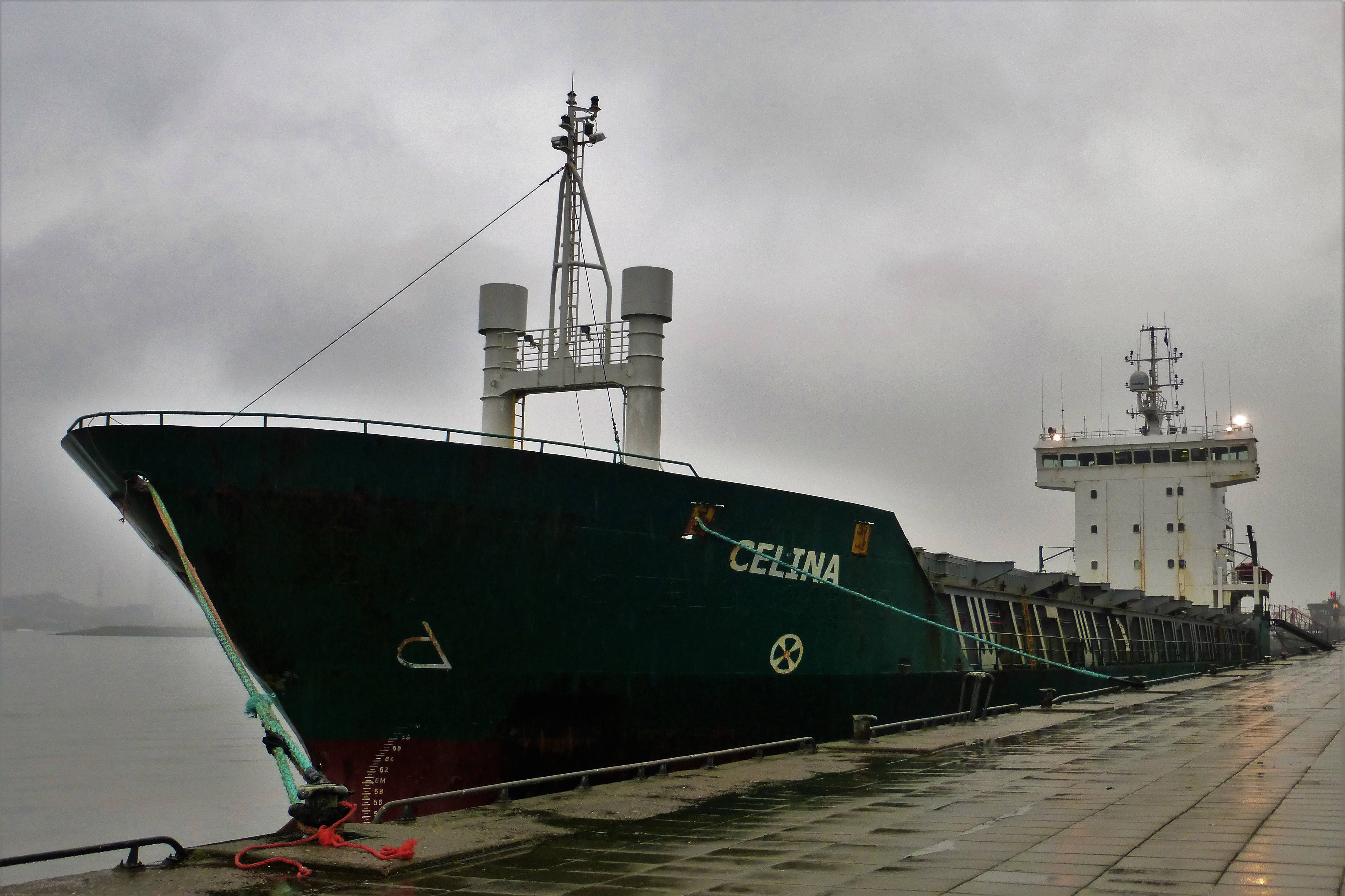 CELINA